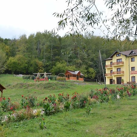 Pensiunea Lavinia Calvini Luaran gambar