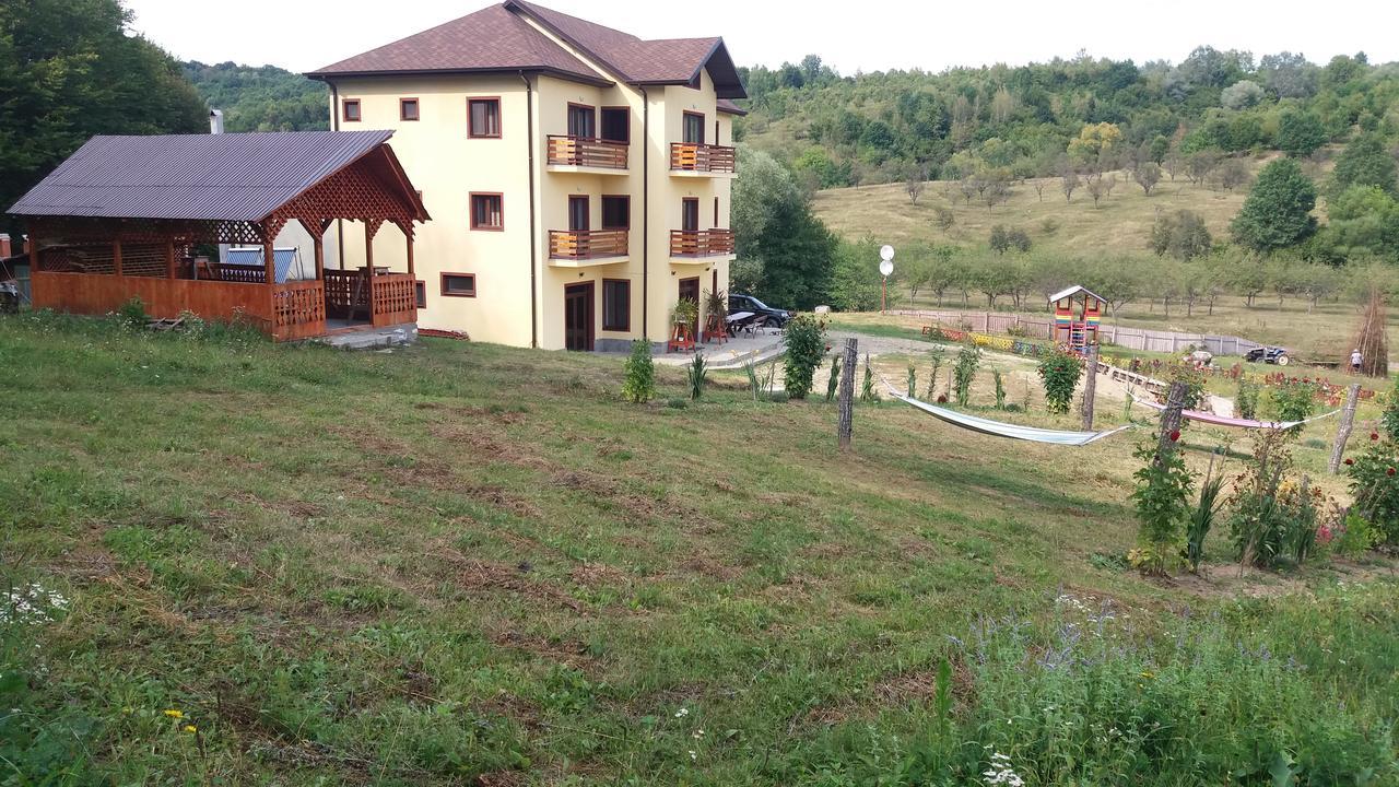 Pensiunea Lavinia Calvini Luaran gambar